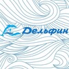Логотип телеграм канала @delfin_ershov — Детский лагерь «Дельфин»🐬
