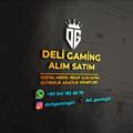 Logo saluran telegram deligaming — DELİ GAMİNG ALIM & SATIM