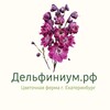 Логотип телеграм канала @delphinium_rf — Дельфиниум.рф Цветы Екатеринбург