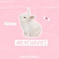 Telegram kanalining logotibi delvouries — ࣪ 📄.. ʚ m𝕖ychavies! ɞ ✿︭