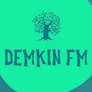 Логотип телеграм канала @demkin_fm — Demkin_fm. Music.