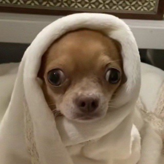 Логотип телеграм канала @den_yus — 𝙳𝚎𝚗𝚢𝚞𝚜