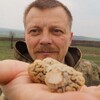 Логотип телеграм канала @denistihayohota — Денис Тихая охота грибы