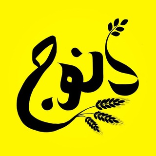Logo saluran telegram denooj — برنج دِنـُوج