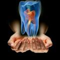 Logo saluran telegram dentalstoreiranian — 🦷دنتال استور ایرانیان🦷