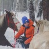 Логотип телеграм канала @denverhorse — Forest Trail / Дэн и Тея