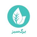 Logo saluran telegram department_bargesabz — 🍃دپارتمان‌‌ِ برگِ سبز🍃
