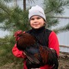 Логотип телеграм канала @der_konstantinovka — Деревенская жизнь