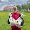 Логотип телеграм канала @derevenskie_bydni_fermera — Димка-фермер "Саранск"