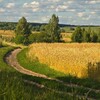 Логотип телеграм канала @derevenskie_nishtyaki1 — Деревенские ништяки 🐔🦆🐂🐝