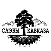 Логотип телеграм канала @derevoslab_catalog — СЛЭБЫ КАВКАЗА - Каталог слэбов