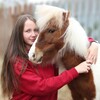 Логотип телеграм канала @derkatusovka — 🐴 Катерина Катюшкина | деревенский коноблог