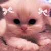 Логотип телеграм канала @derkittt — линося момент