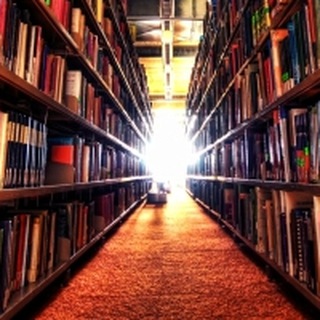 Logo des Telegrammkanals derkolumnist - Der Kolumnist