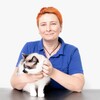 Логотип телеграм канала @dermvet — Ветеринарный дерматолог