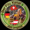 Logo des Telegrammkanals derpilzkanal - 🌲Der Pilz Kanal🌲