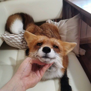 Логотип телеграм канала @derz_ya — Переходник