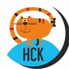 Логотип телеграм канала @designredcat — Рыжий Кот Школа дизайна НСК
