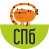Логотип телеграм канала @designredcatspb — Школа Дизайна «Рыжий Кот» СПб