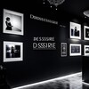Логотип телеграм канала @desiregallery — The Desire Gallery 18 