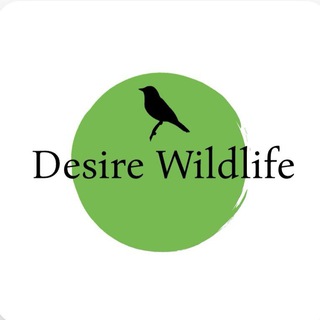 Логотип телеграм канала @desirewildlife — DESIRE WILD LIFE (ЖИВОТНЫЕ И ПРИРОДА)