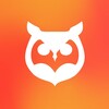 Logo of telegram channel desowlnotes — Owl Notes