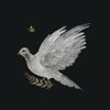 Логотип телеграм канала @destinys_path — Начало пути