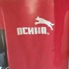 Логотип телеграм канала @detectordog — Детектор пса