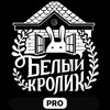 Логотип телеграм канала @detivkinocasting — Портфолио, реклама, кастинги, детский КВН