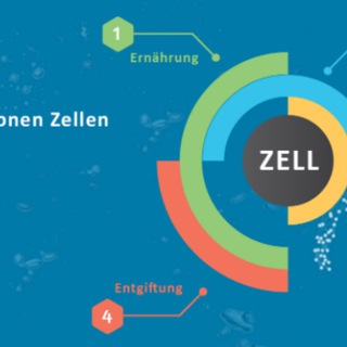 Telegram channel Detoxing bei Impfungen logo