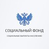 Логотип телеграм канала @detskie_posobiy_rf — Вопросы к СФР | Подскажите СФР