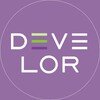 Логотип телеграм -каналу develorukraine — DEVELOR UKRAINE