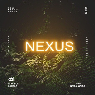 Логотип телеграм канала @devnexus — Nexus Dev.