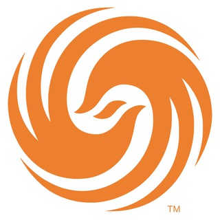 Логотип телеграм канала @devops_guides — DevSecOps / Project Phoenix