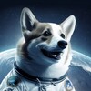 Логотип телеграм канала @dexfreedomeu — Dецентрализованный Интернет и заработки DexNet - DexFreedom
