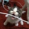 Логотип телеграм канала @dexpvv — dExppV cLu:b <3