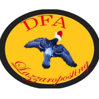 Logo del canale telegramma dfalazzaroposting - DFA Lazzaroposting