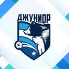 Логотип телеграм канала @dfcjunior — ДЖУНИОР ⚽️ Детский Футбольный Центр