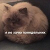 Логотип телеграм канала @dgdhfju — Канал 1