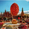 Логотип телеграм канала @dgmoskva — День города Москва