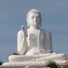 Logo of telegram channel dhammapadas — Dhammapada - Buddha Dharma Teachings