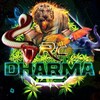 Логотип телеграм канала @dharmarcua — DHARMA RC