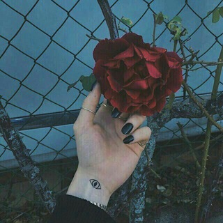 لوگوی کانال تلگرام dhhrhkgkiyyjncom — خـــربشــــات ٲنثـــۍ💁‍💛