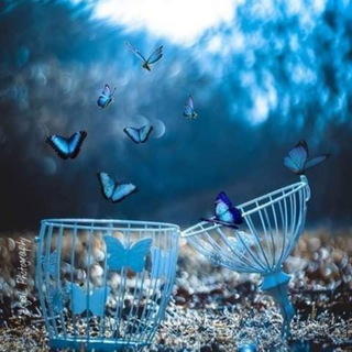 لوگوی کانال تلگرام dhkaa66 — 💞آشيــّاء_مـِن_العُمـــــق_💞