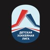 Логотип телеграм канала @dhl_spb — ДХЛ | Детская Хоккейная Лига
