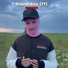 Логотип телеграм канала @diaana_br — Диииана | Блек Раша