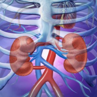 Логотип телеграм канала @dializuz — Гемодиализ.uz