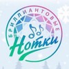Логотип телеграм канала @diamond_notes — 💎Бриллиантовые нотки💎