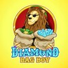 Logo of telegram channel diamondbagboyz_official — Diamond pack Boyz🗽🇺🇲