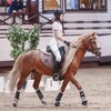 Логотип телеграм канала @diamondteamsf — Levi_equ🧡